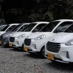 zhidou d2s